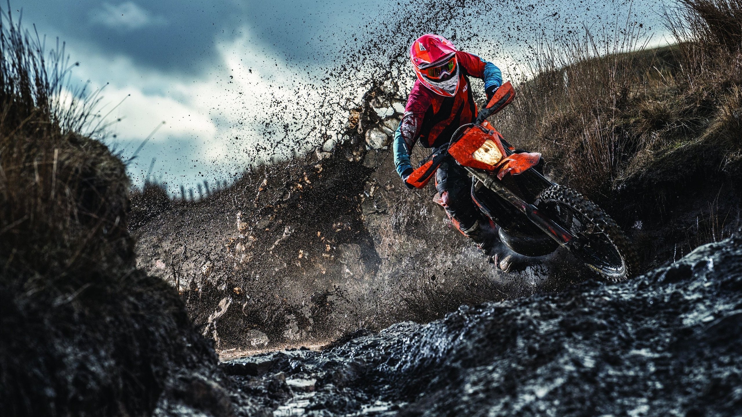 达里尔·基：凭借超凡的防守和极强的爆发力，他成为全黑队的后防保障